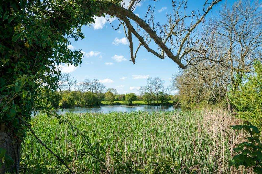 فيلا Long Range 2, Henham Park Nr Southwold بسلس المظهر الخارجي الصورة